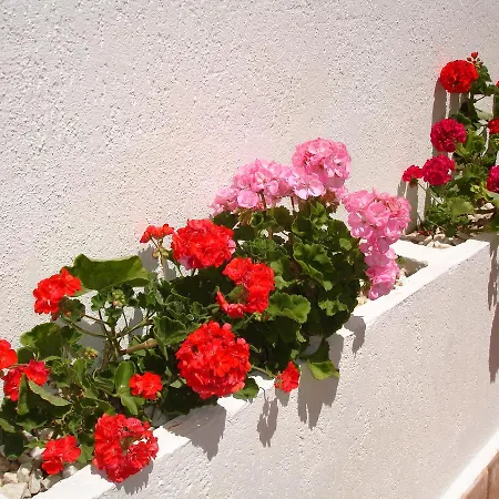 236 Apartment Benidorm Exterior photo